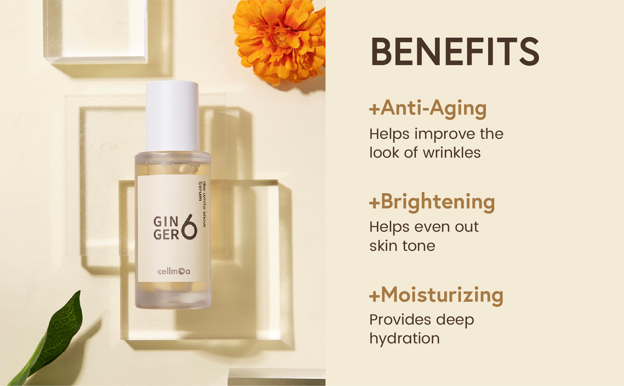Product Banner
