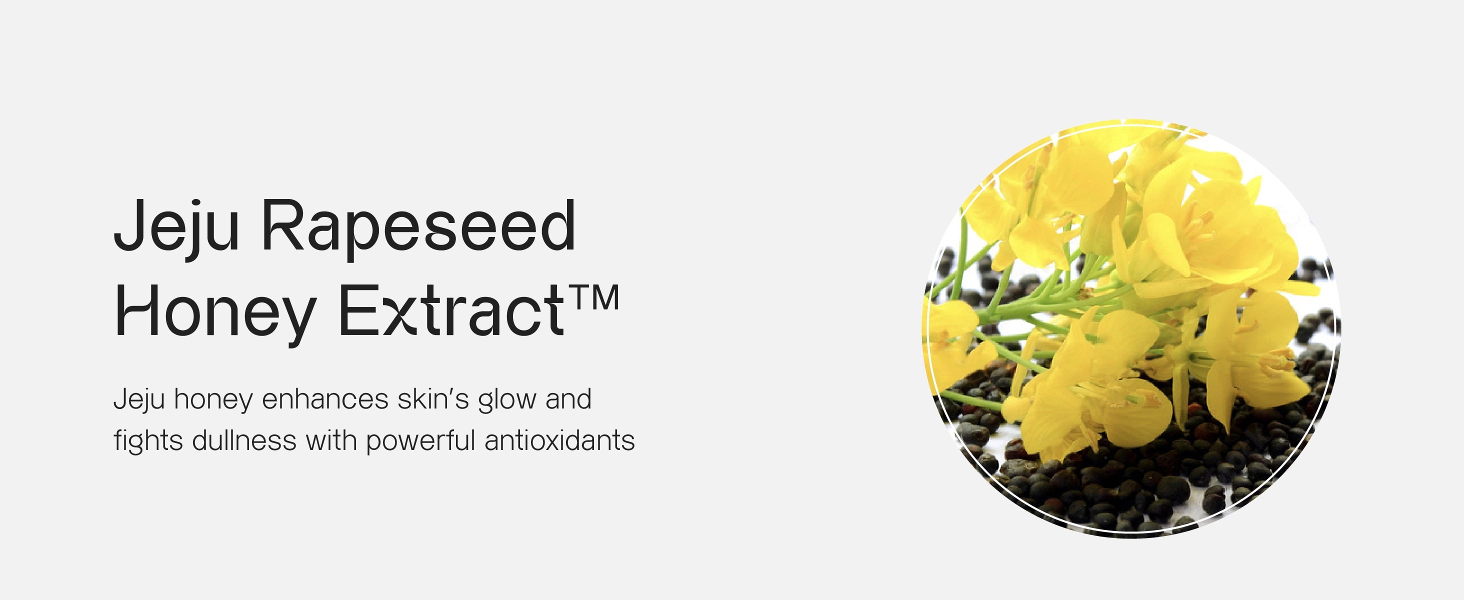Product Banner